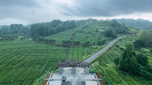 新华网重庆频道(图1)