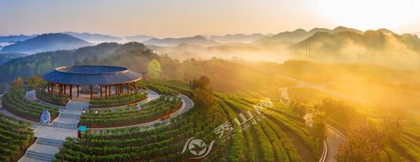 新华网重庆频道(图2)