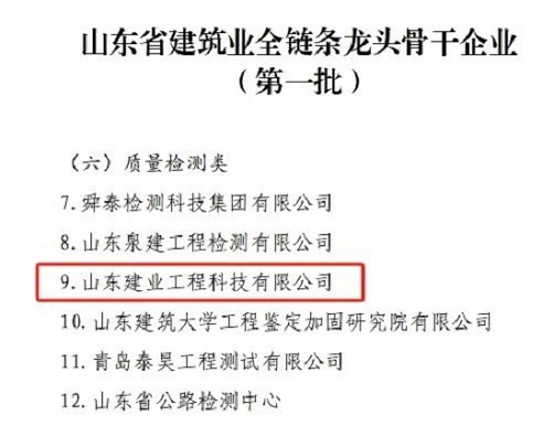 临沂市监理咨询公司、山东建业公司获得“山东省建筑业全链条龙头骨干企业”荣誉称号(图2)
