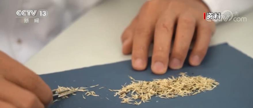 最高法：明确品种权保护对象不受繁育方式限制全链条打击侵害种业领域侵权(图3)