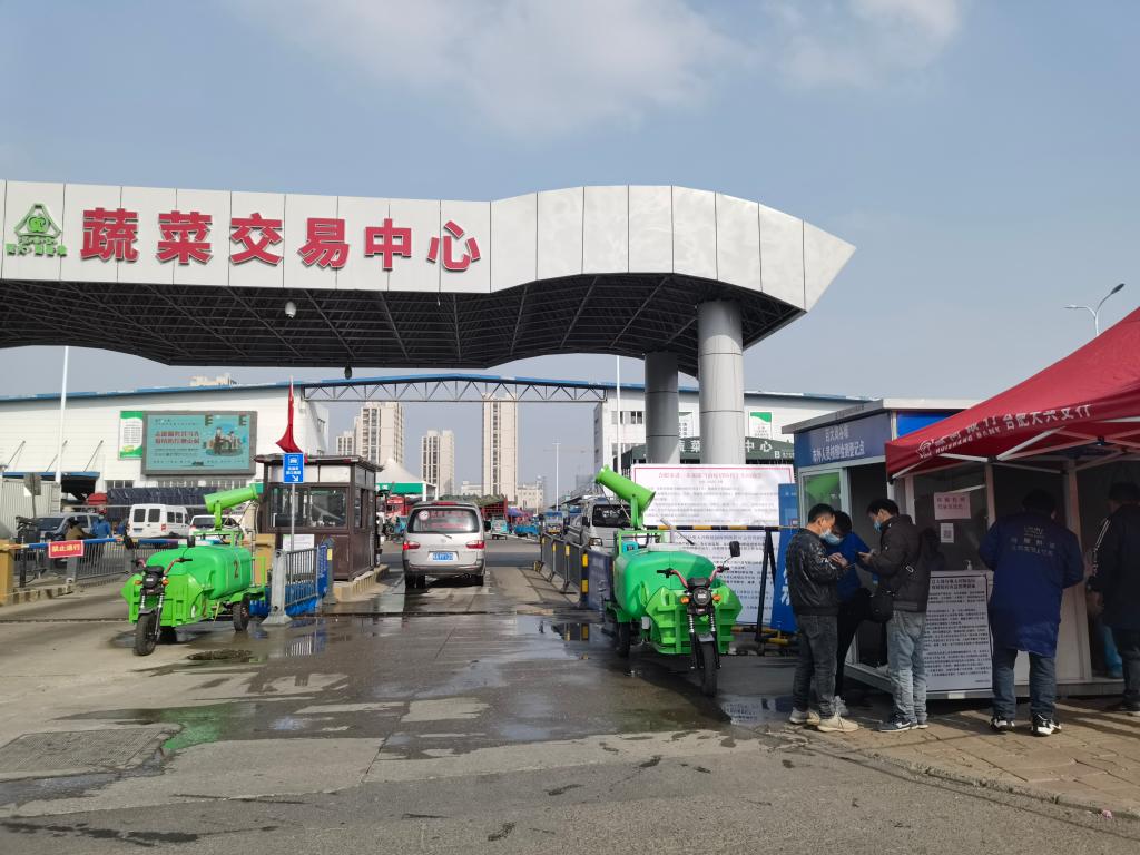 新华全媒+丨为“菜篮子”减负给“菜园子”分忧——安徽多地蔬菜稳产保供“全链条”观察(图2)