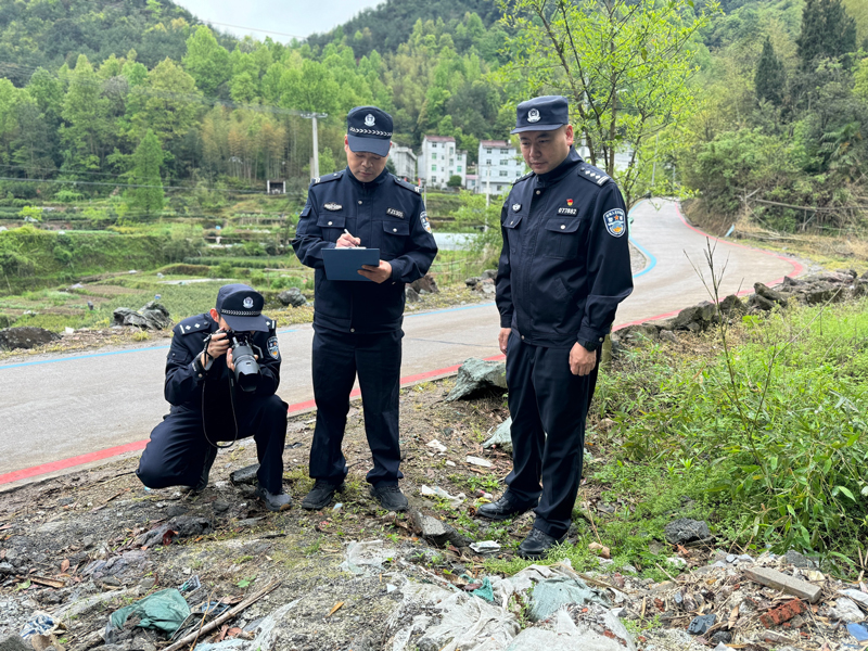 丽水：“打防治服”一体化守护绿水青山(图1)