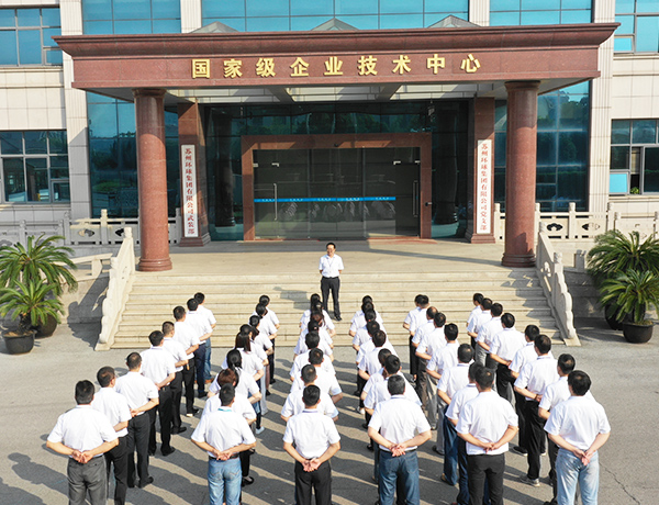 环球传动-环球链条厂-石油链条(图1)