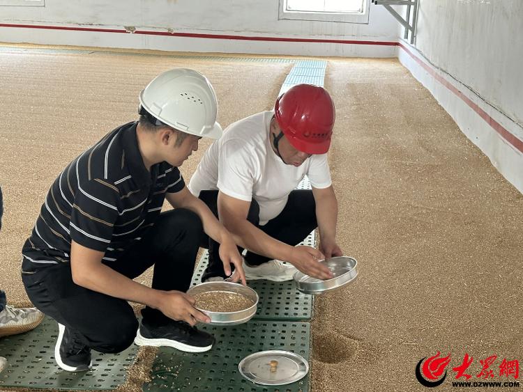 全链条节粮减损新风尚让德州端牢中国饭碗更有底气_大众网(图1)