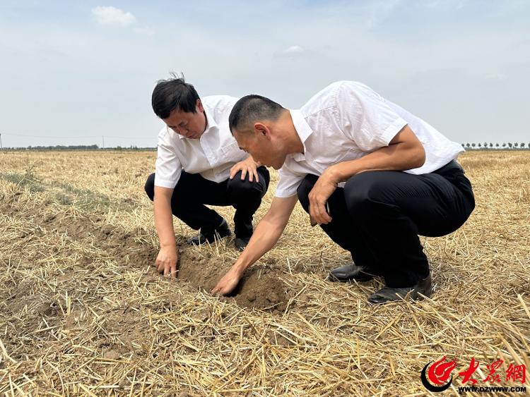 全链条节粮减损新风尚让德州端牢中国饭碗更有底气_大众网(图6)
