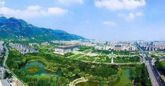 泰安市供销社“全链条”“全环节”服务夏季农业生产(图1)