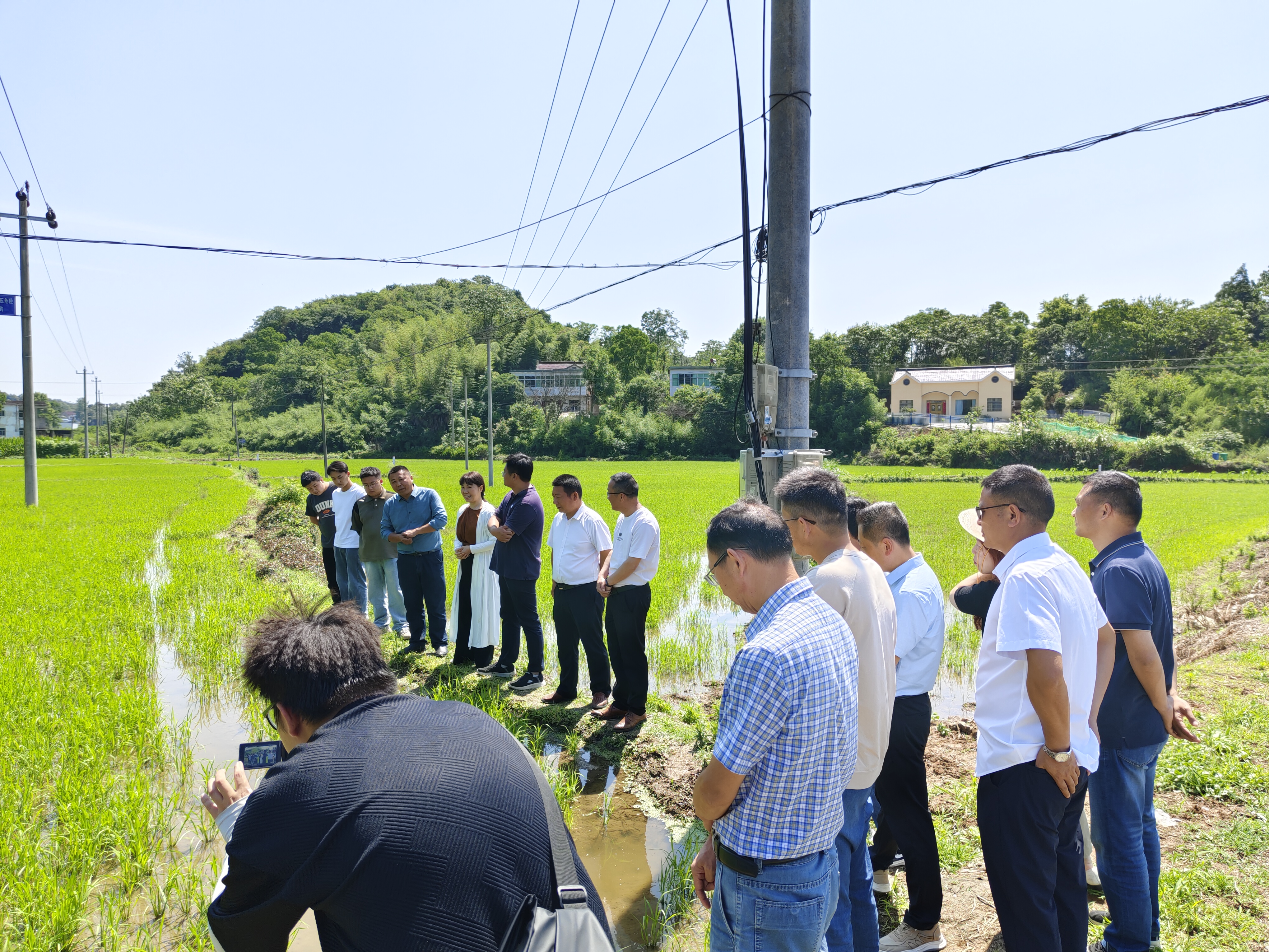 贵池区涓桥镇全链条发力筑牢粮食丰产增收“保障网”(图3)