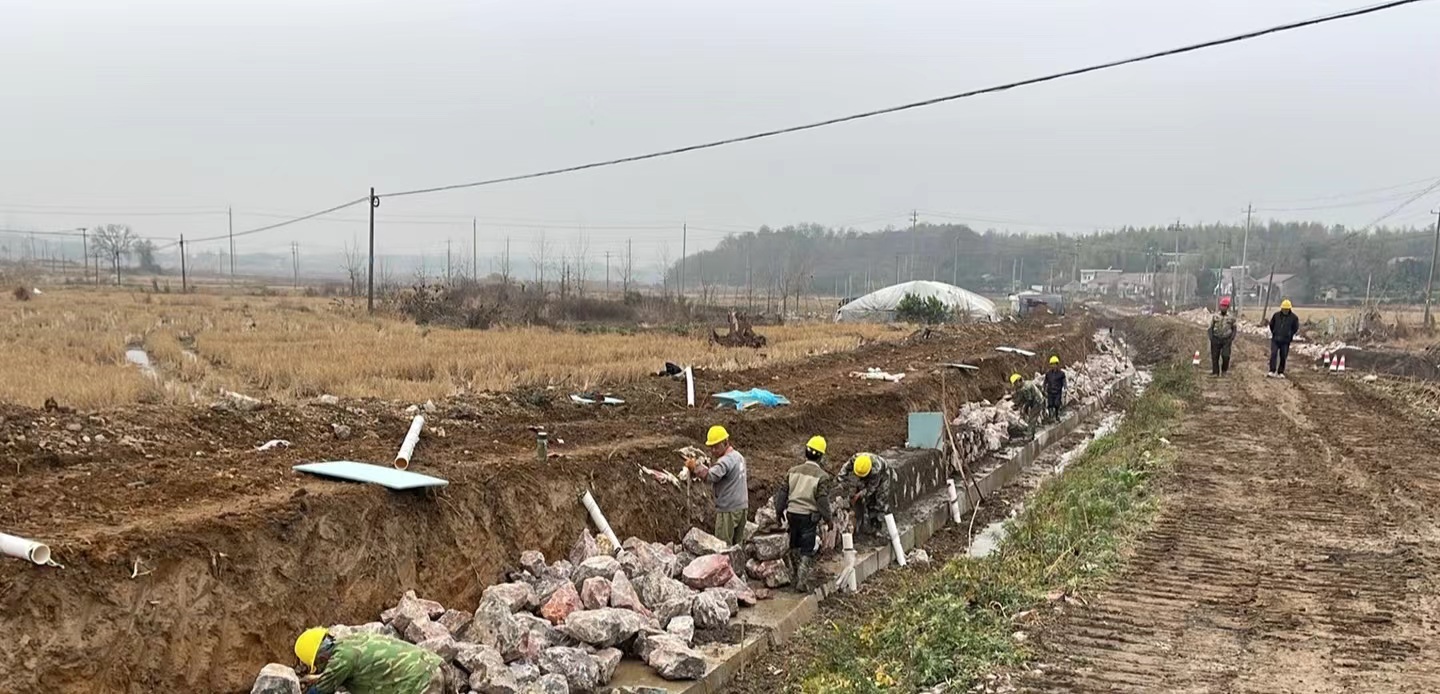 贵池区涓桥镇全链条发力筑牢粮食丰产增收“保障网”(图2)