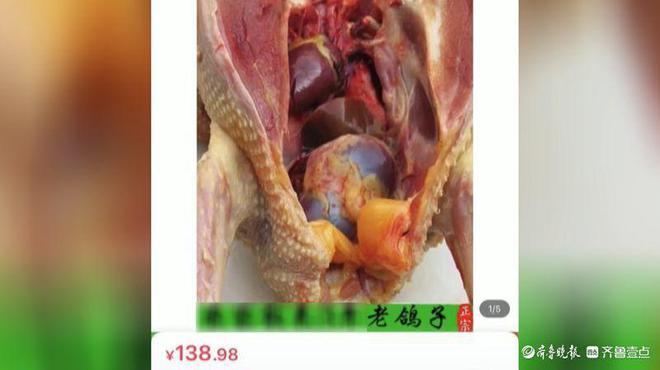 历时6个月涉案千余万聊城警方全链条斩断“产供销”假鸽案(图2)