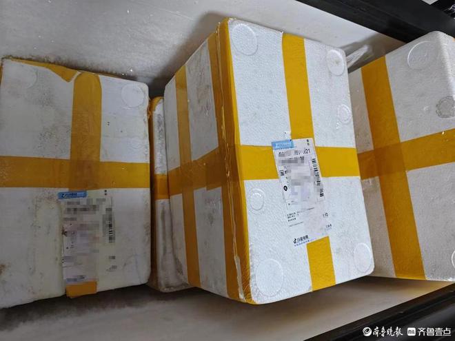 历时6个月涉案千余万聊城警方全链条斩断“产供销”假鸽案(图10)