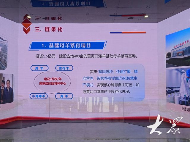 三农深度调查全链条升级盐窝镇滩羊产业实现“30版”养殖(图3)