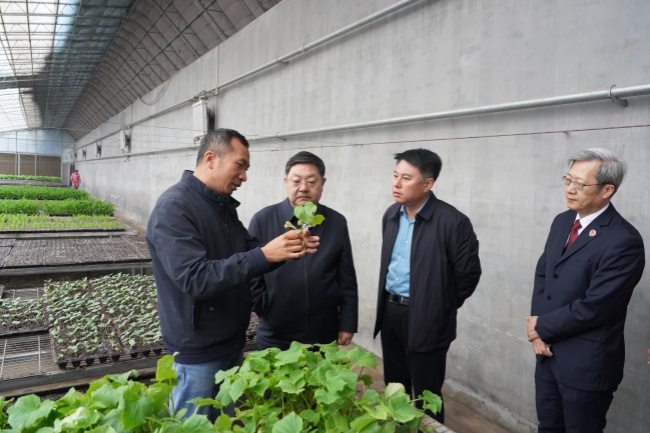 山东青岛：多元护企营造法治化营商环境(图2)