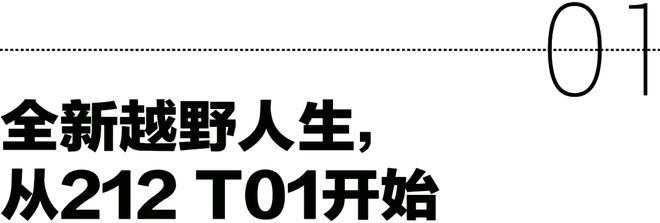 212全新车型T01正式上市(图2)