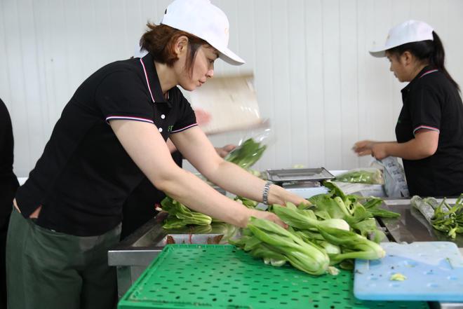 食材配送上海沪鑫新餐饮服务链条的坚实基石(图3)