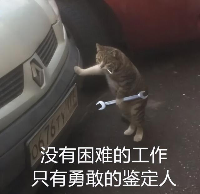 开惯了路虎很难接受锋兰达大哥花13万买了辆四年的捷豹XFL(图22)