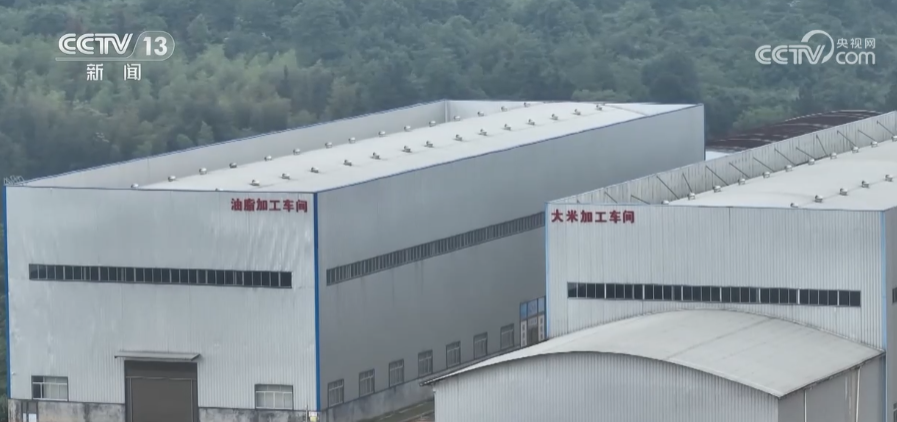 推进全链条节粮减损粮食综合损失率进一步降低(图1)
