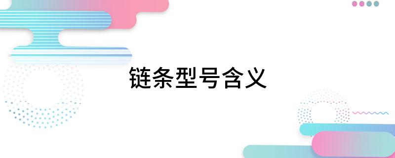 链条型号含义(图1)
