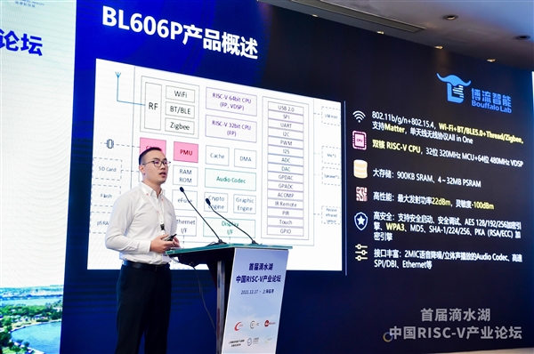 RISC-V架构国产芯片10连发：4款基于阿里平头哥玄铁内核(图1)