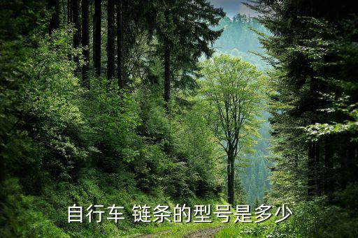 链条规格及尺寸大全摩托车和自行车链条的规格(图2)