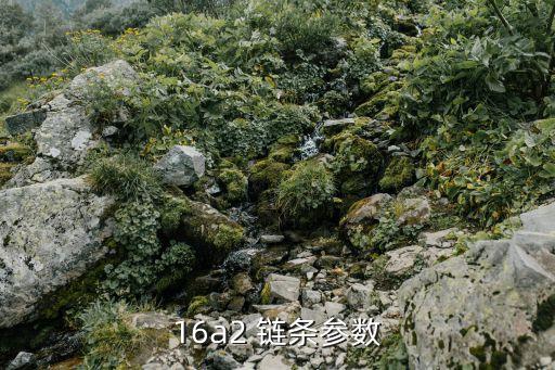 链条规格及尺寸大全摩托车和自行车链条的规格(图3)