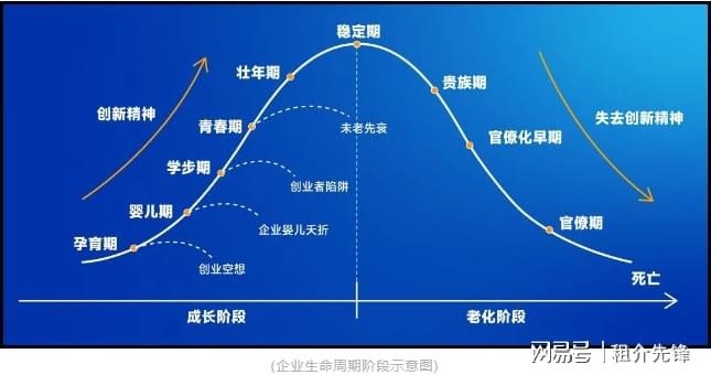 初创难题：怎么在行业中确定自己公司的位置？(图1)