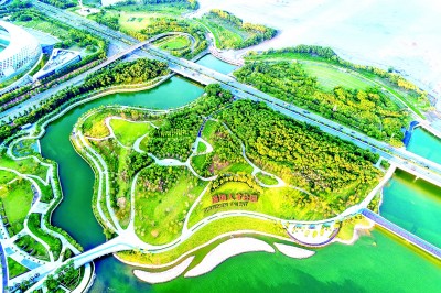 “这里有成长的平台、成才的舞台”——广东省深圳市筑巢引凤打造创新人才向往之城(图2)