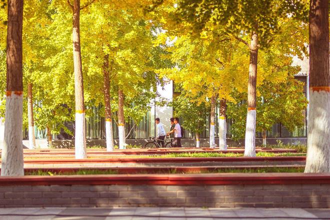 北京建筑大学王牌专业怎么样？破除误解这个专业有钱景有地位！(图4)