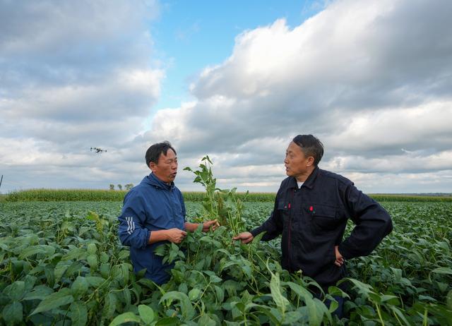 新华全媒+丨我叫建国——“60后”农机研发者的黑土地情结(图7)