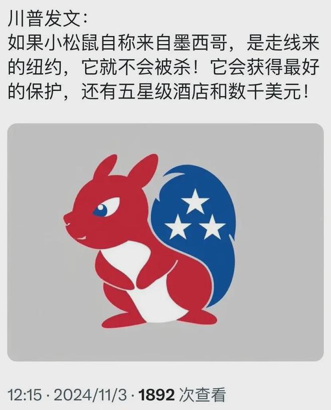 蓝州杀死一只小松鼠川普给它报了仇(图1)