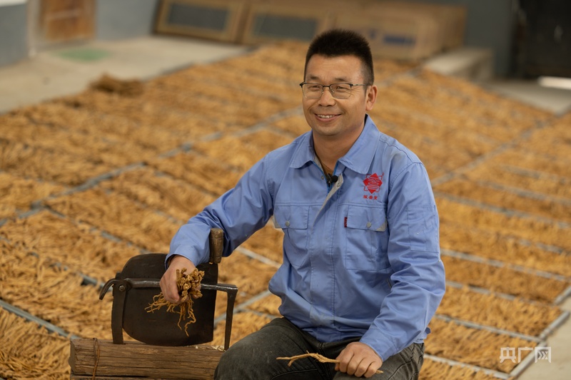 我家就在河边住太行深处有好参(图1)
