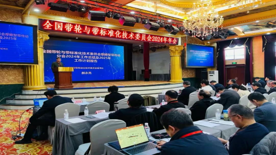 全国带轮与带标委会暨摩擦型带传动分委会2024年度年会召开(图2)