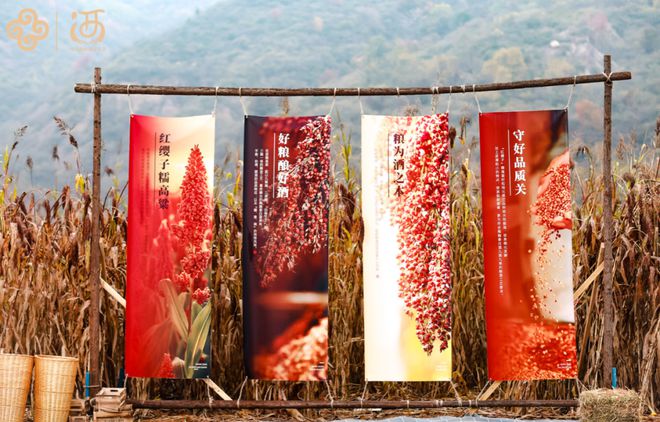 中国仰韶酒文化节：大国品牌的崛起立于“全生态链条”(图8)