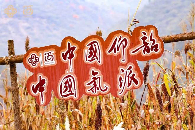 中国仰韶酒文化节：大国品牌的崛起立于“全生态链条”(图10)