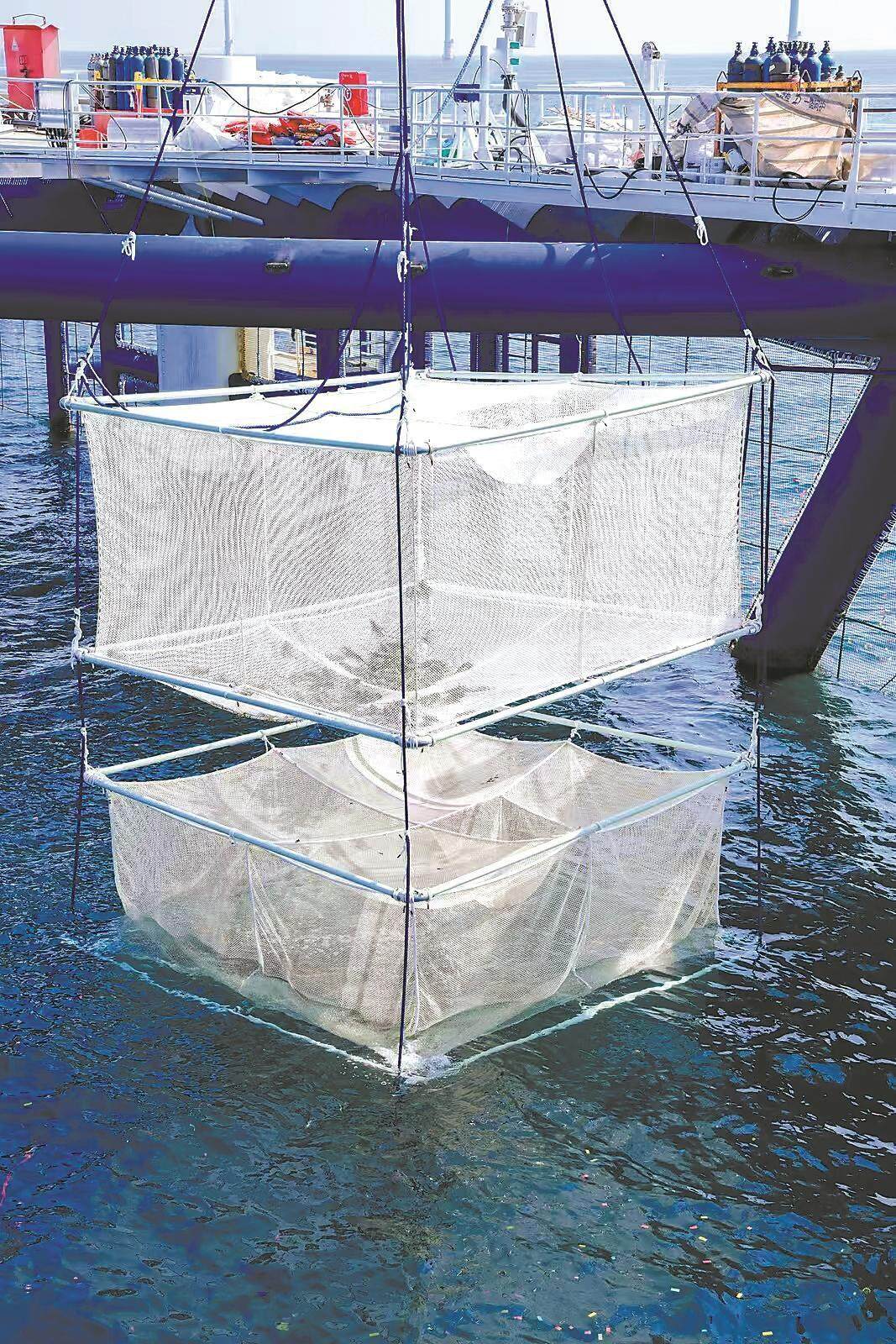 如何构建全链条现代化海洋牧场？汕尾拿出了一个示范样本(图2)