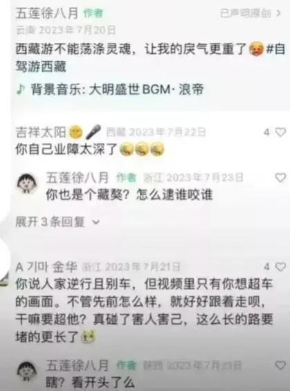 越闹越大徐女士的谎言被揭穿后还在狡辩交警回应徐老太疑似套牌(图12)