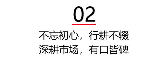 龙头配套丨品牌引领力问鼎行业名震稳坐行业龙头宝座！(图4)