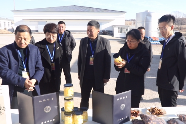 吉林市人民政府(图1)