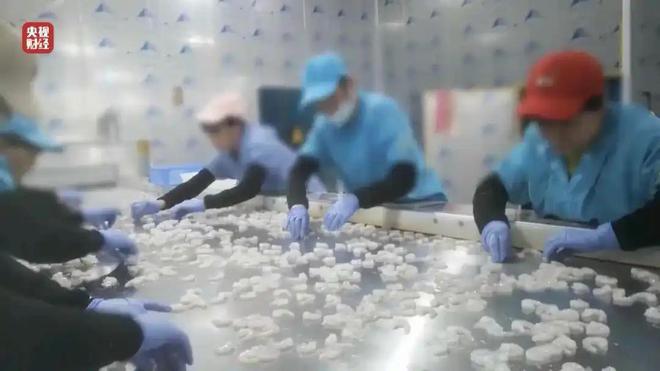 湛江“毒虾仁”公司态度嚣张被曝光后仍不承认违规谁给的底气(图4)