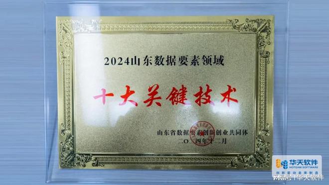 喜报华天软件获2024年度数据要素流通先进单位两项殊荣(图4)