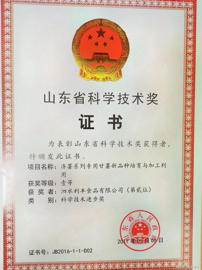 泗水利丰食品公司标准引领全链条打造甘薯产业生态助力乡村振兴(图2)