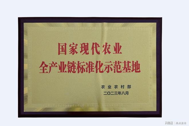 泗水利丰食品公司标准引领全链条打造甘薯产业生态助力乡村振兴(图5)