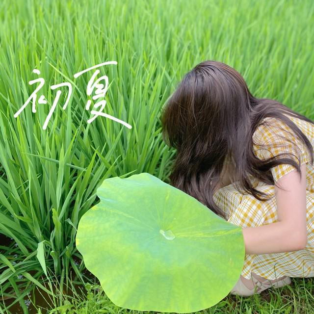 明日立夏来临关注三大要点确保安全迎接夏季。(图1)
