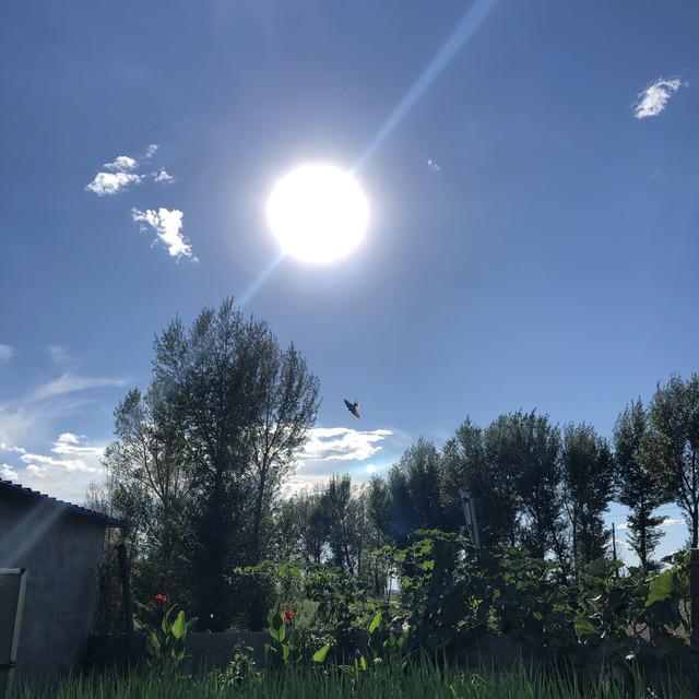 明日立夏来临关注三大要点确保安全迎接夏季。(图4)