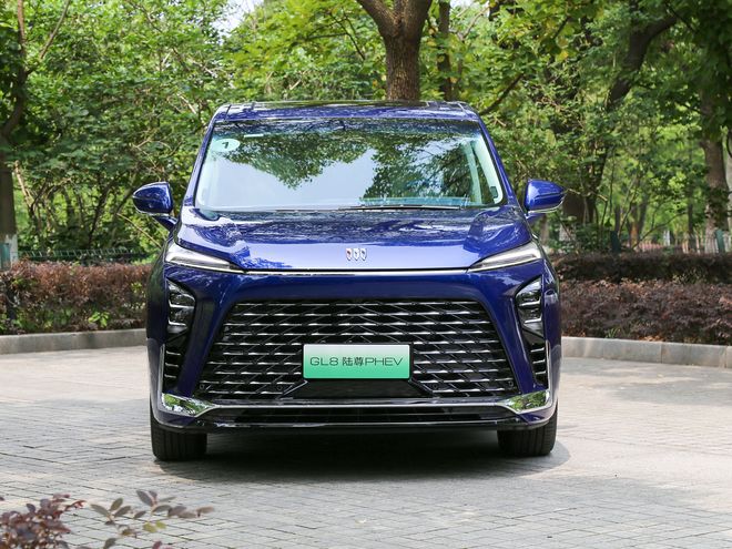 全系都是头等舱！别克全新GL8陆尊3399万起纯电200km+5C快充(图4)