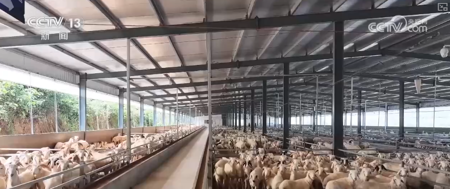 “顶流”美食满足味蕾活跃经济感受跨越地域“舌尖狂欢”解锁夜间经济新亮点(图17)