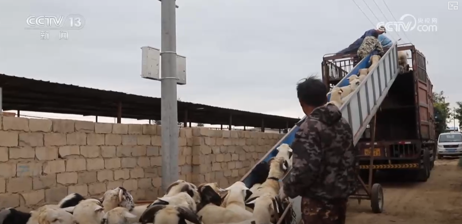 “顶流”美食满足味蕾活跃经济感受跨越地域“舌尖狂欢”解锁夜间经济新亮点(图22)
