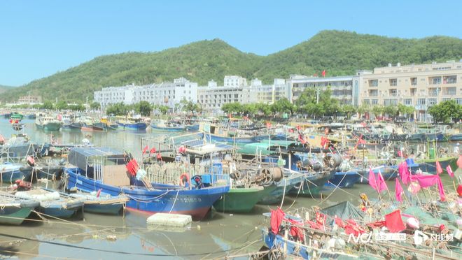 广东农业迎战台风“麦德姆”看粤西全链条防护抢收减损(图1)