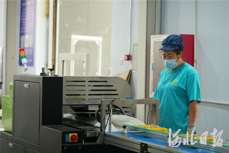 小小藜麦的升值之旅(图1)