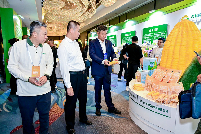吉林粮食以优质种质为“钥”解锁产业提速“核心密码”(图1)