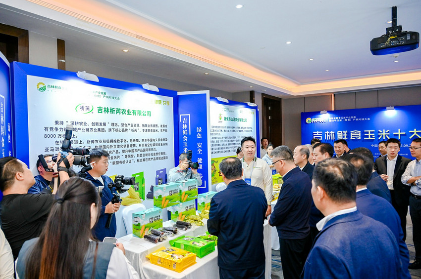 吉林粮食以优质种质为“钥”解锁产业提速“核心密码”(图2)